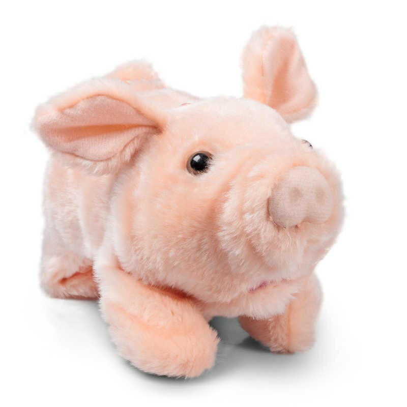 piggy toys